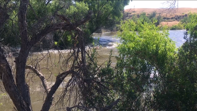 Man rescued from Kern River near Lake Ming campground