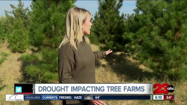 Santa's Forest Christmas Farm is not selling