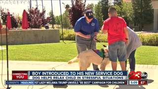 Boy gets autism service dog to help with anxiety