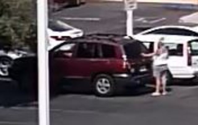 BPD searching for vehicle burglary suspect