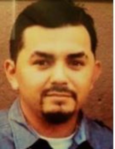 2017 murder suspect taken into custody